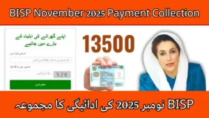 BISP Payment Collection November 2025 Cash
