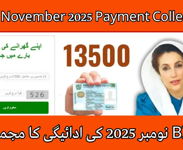 BISP Payment Collection November 2025 Cash