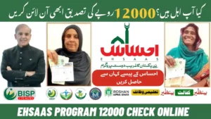 Ehsaas Program12000 Online Apply